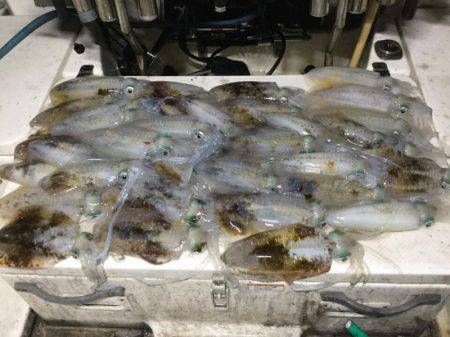 Monster Rush! 釣果