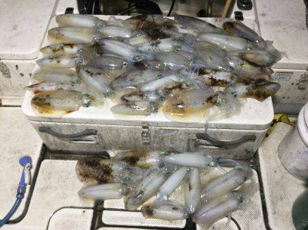 Monster Rush! 釣果