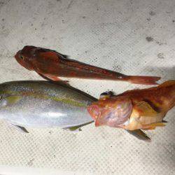 Monster Rush! 釣果