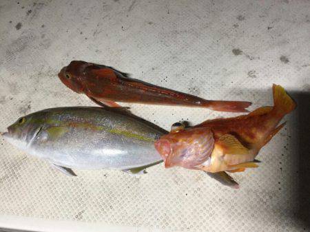 Monster Rush! 釣果