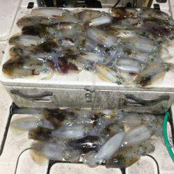 Monster Rush! 釣果