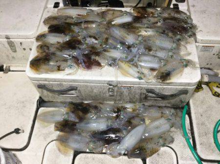 Monster Rush! 釣果