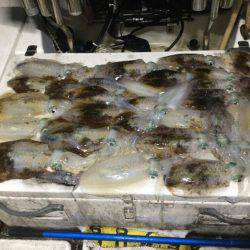 Monster Rush! 釣果