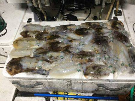 Monster Rush! 釣果