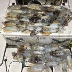 Monster Rush! 釣果