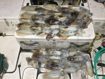 Monster Rush! 釣果