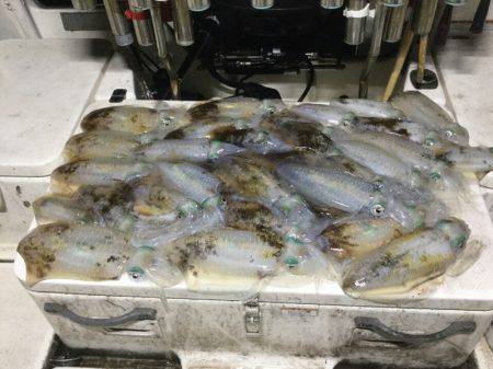 Monster Rush! 釣果