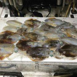 Monster Rush! 釣果