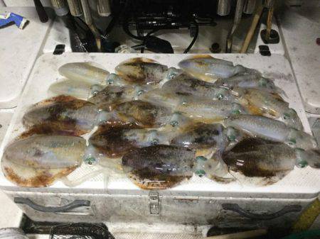 Monster Rush! 釣果