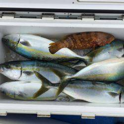 海龍丸(石川) 釣果