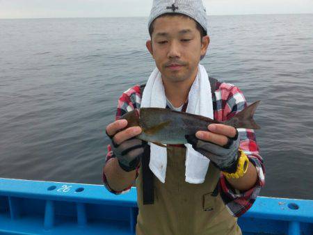 丸万釣船 釣果