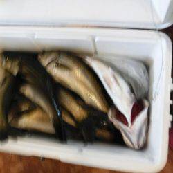 海龍丸(島根) 釣果