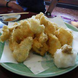 海龍丸(島根) 釣果