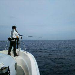 ブルドック 釣果