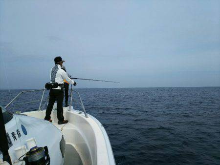 ブルドック 釣果