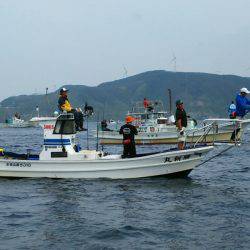 ブルドック 釣果