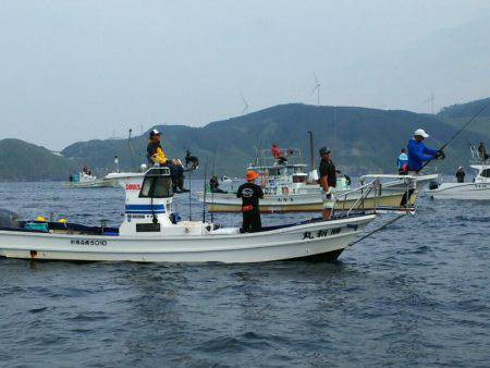 ブルドック 釣果