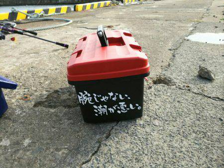 ブルドック 釣果