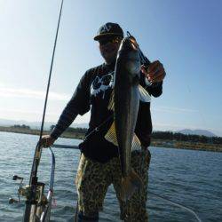 海龍丸(島根) 釣果