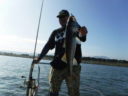 海龍丸(島根) 釣果