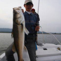 海龍丸(島根) 釣果