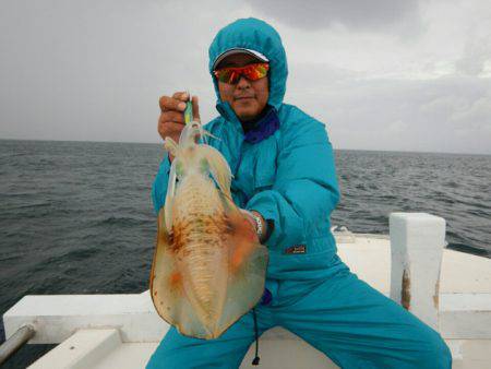 きずなまりん 釣果