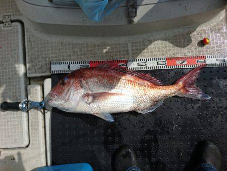 ARCADIAⅡ （アルカディアⅡ） 釣果