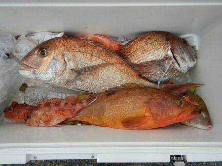 きずなまりん 釣果