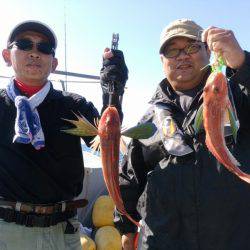 ありもと丸 釣果