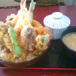 海龍丸(島根) 釣果