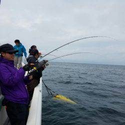 ソルトウォーターガイドフレンズ 釣果