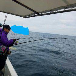 ソルトウォーターガイドフレンズ 釣果