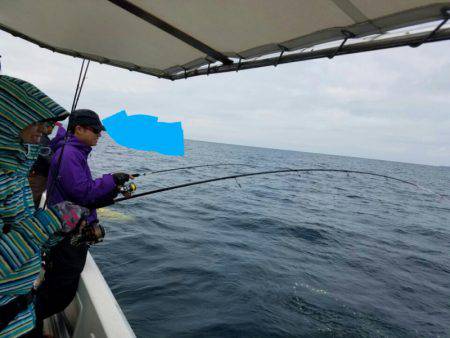 ソルトウォーターガイドフレンズ 釣果