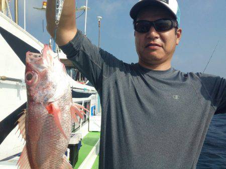 丸万釣船 釣果