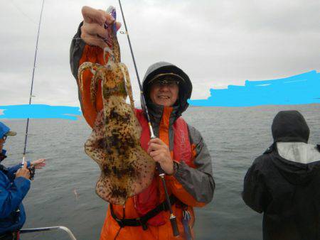 きずなまりん 釣果