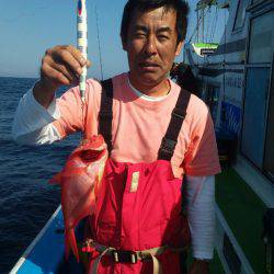 丸万釣船 釣果