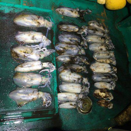 Monster Rush! 釣果