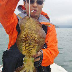 マリンガイド福丸 釣果