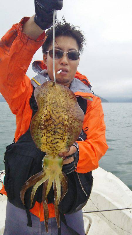 マリンガイド福丸 釣果