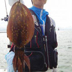 マリンガイド福丸 釣果