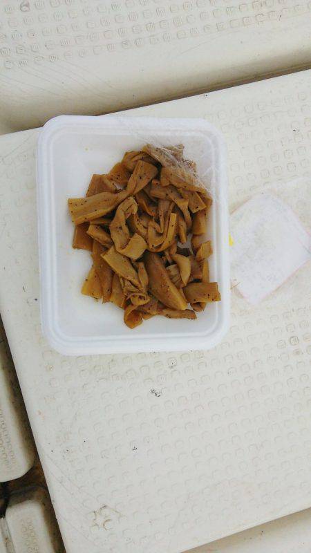 マリンガイド福丸 釣果