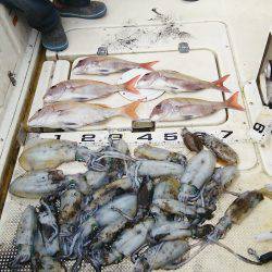 マリンガイド福丸 釣果