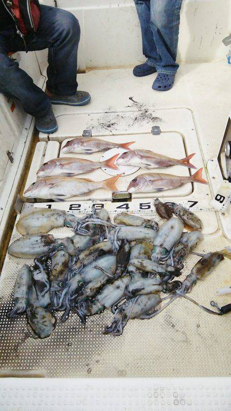 マリンガイド福丸 釣果