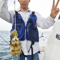 マリンガイド福丸 釣果