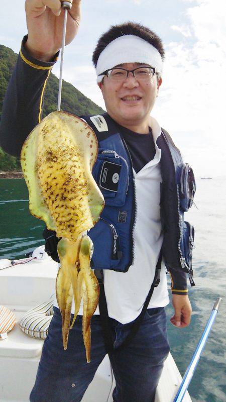 マリンガイド福丸 釣果