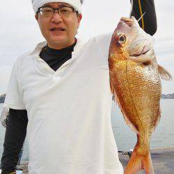 マリンガイド福丸 釣果