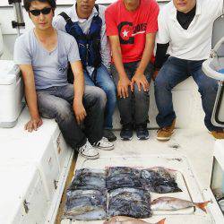 マリンガイド福丸 釣果