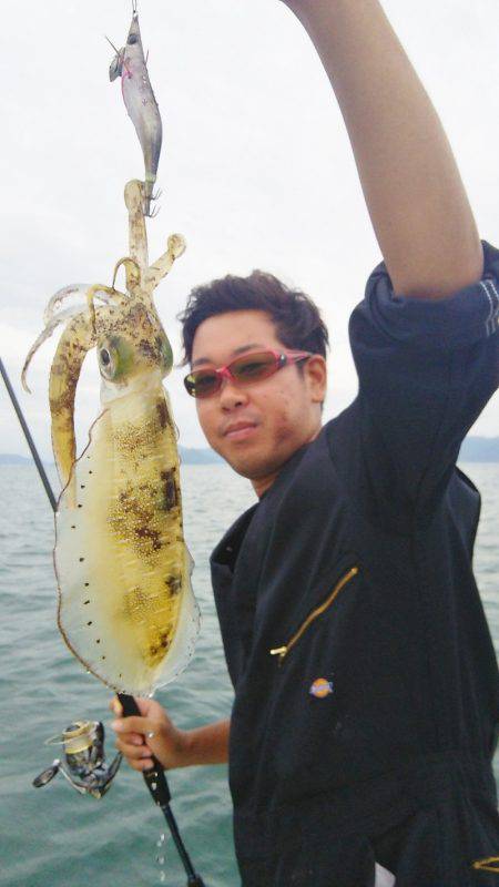 マリンガイド福丸 釣果