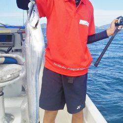 マリンガイド福丸 釣果