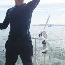 マリンガイド福丸 釣果